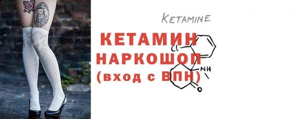 индика Сатка