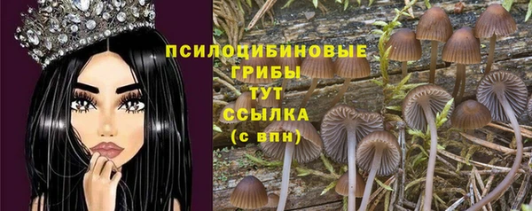 МДМА Алексеевка