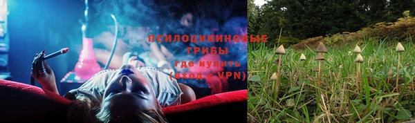МДМА Алексеевка