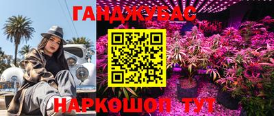 PSILOCYBIN Заволжье