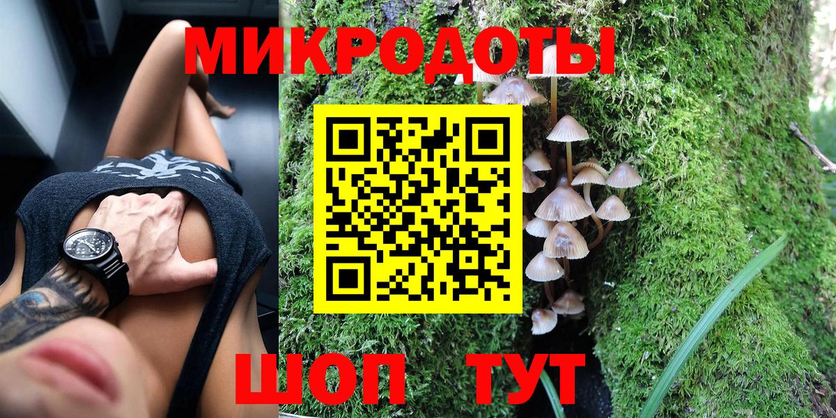 Галлюциногенные грибы Psilocybe  Вход с VPN  Осинники 